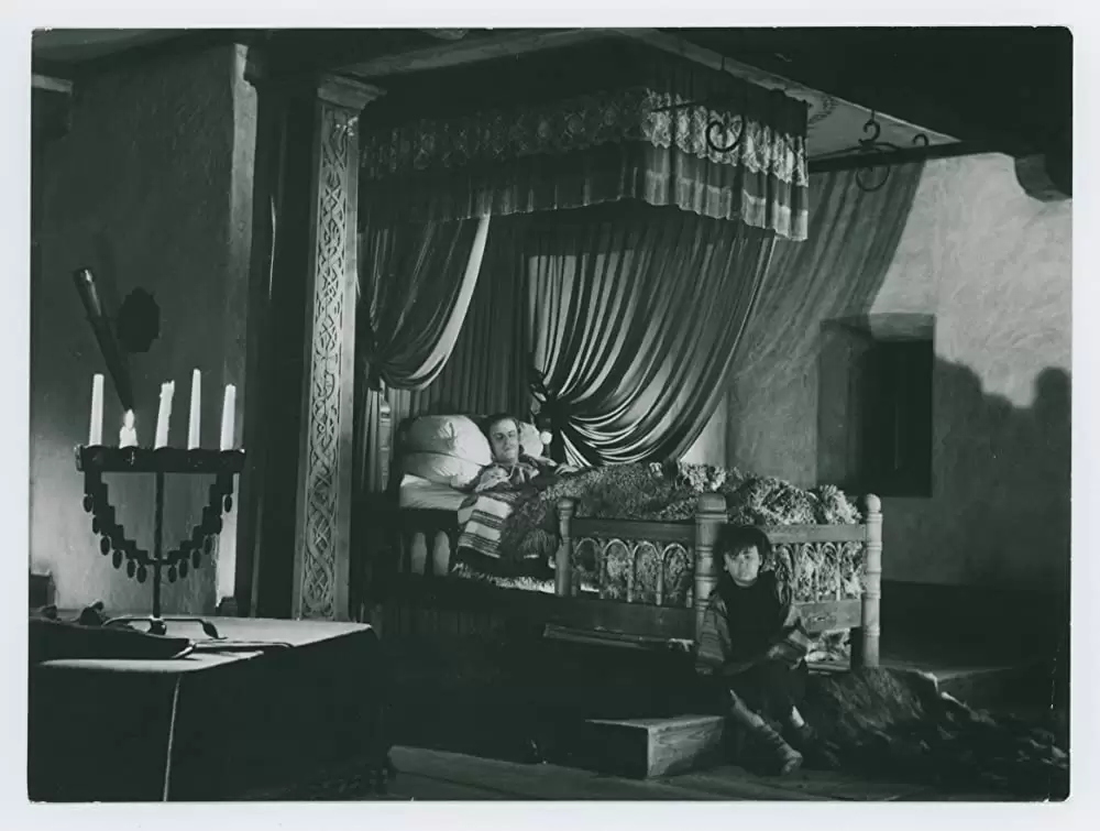 シンゴアラの画像