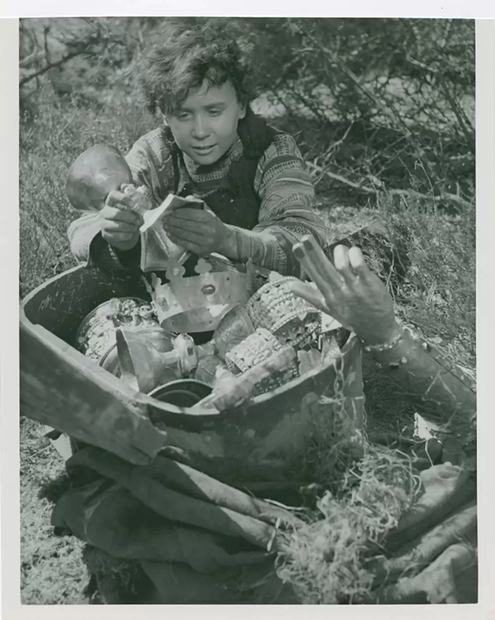 シンゴアラの画像