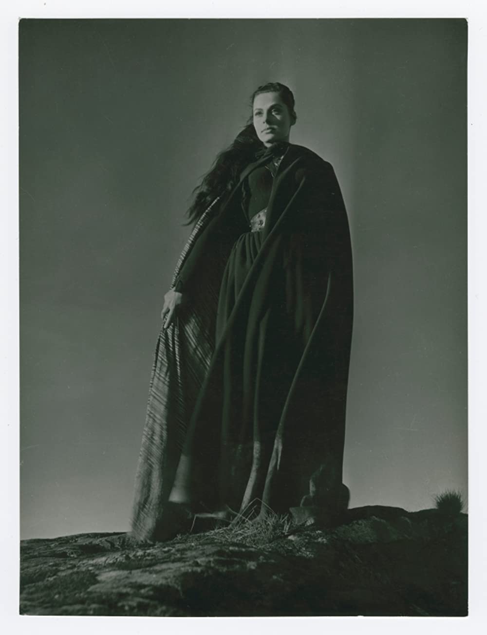 シンゴアラの画像