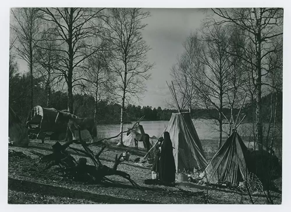 シンゴアラの画像