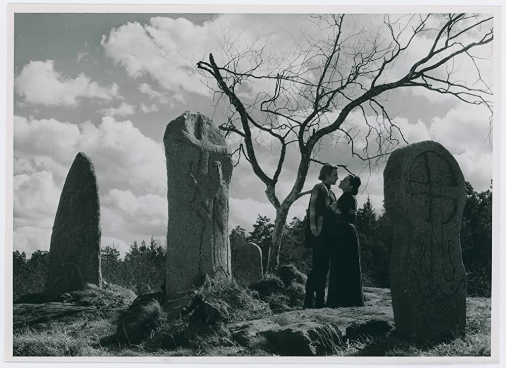 シンゴアラの画像