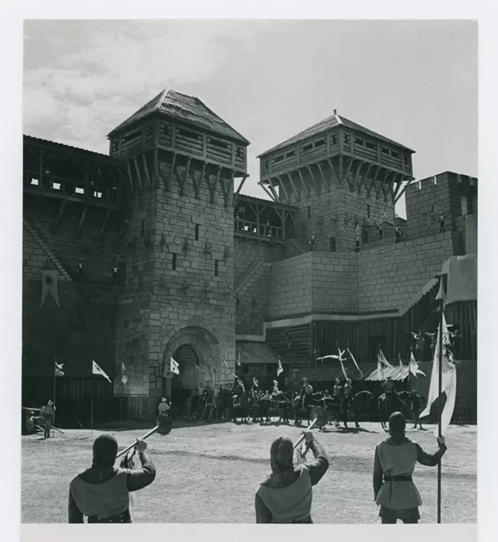 シンゴアラの画像