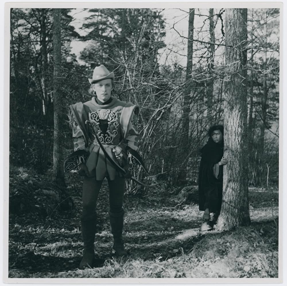 シンゴアラの画像