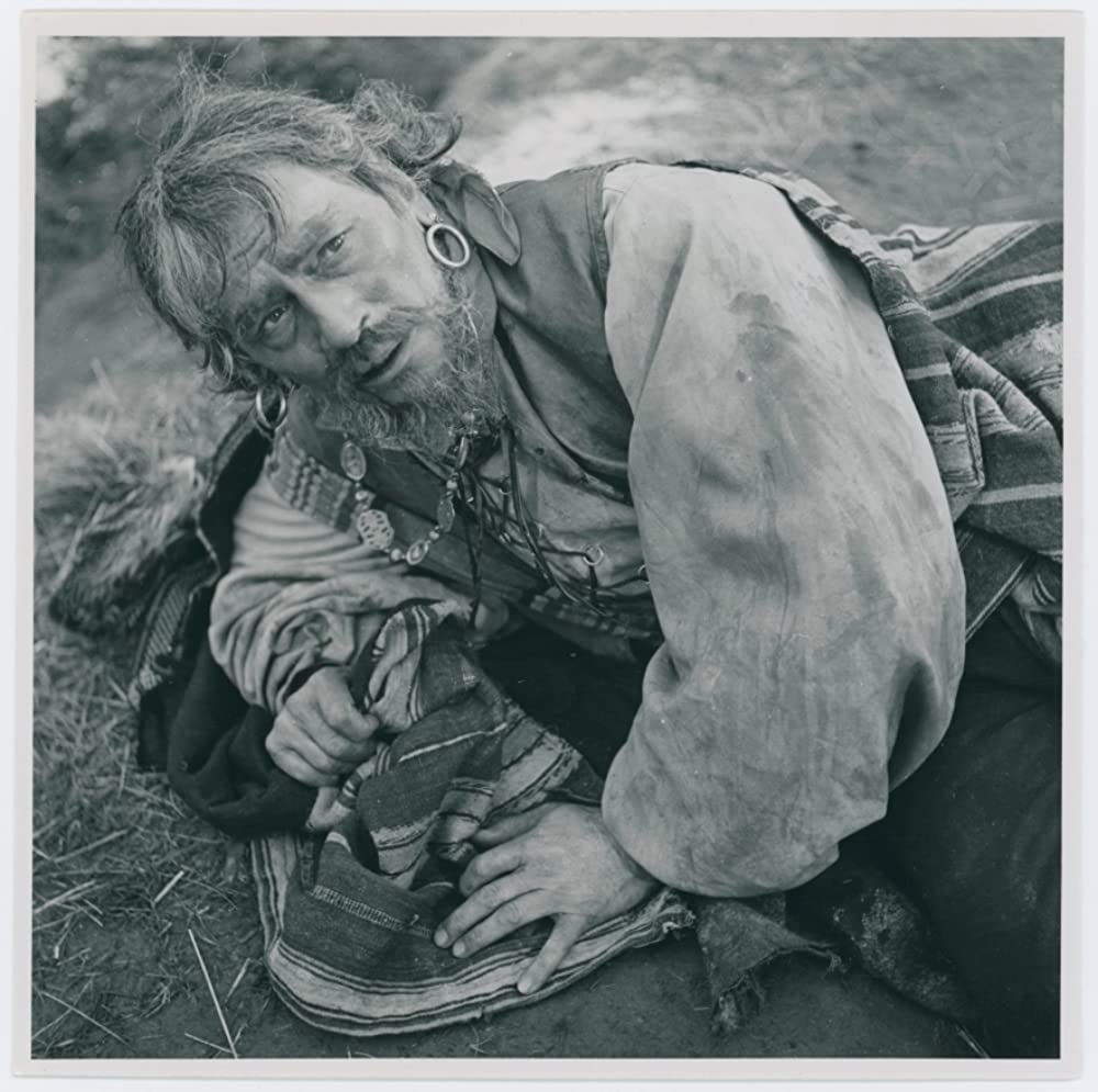 シンゴアラの画像