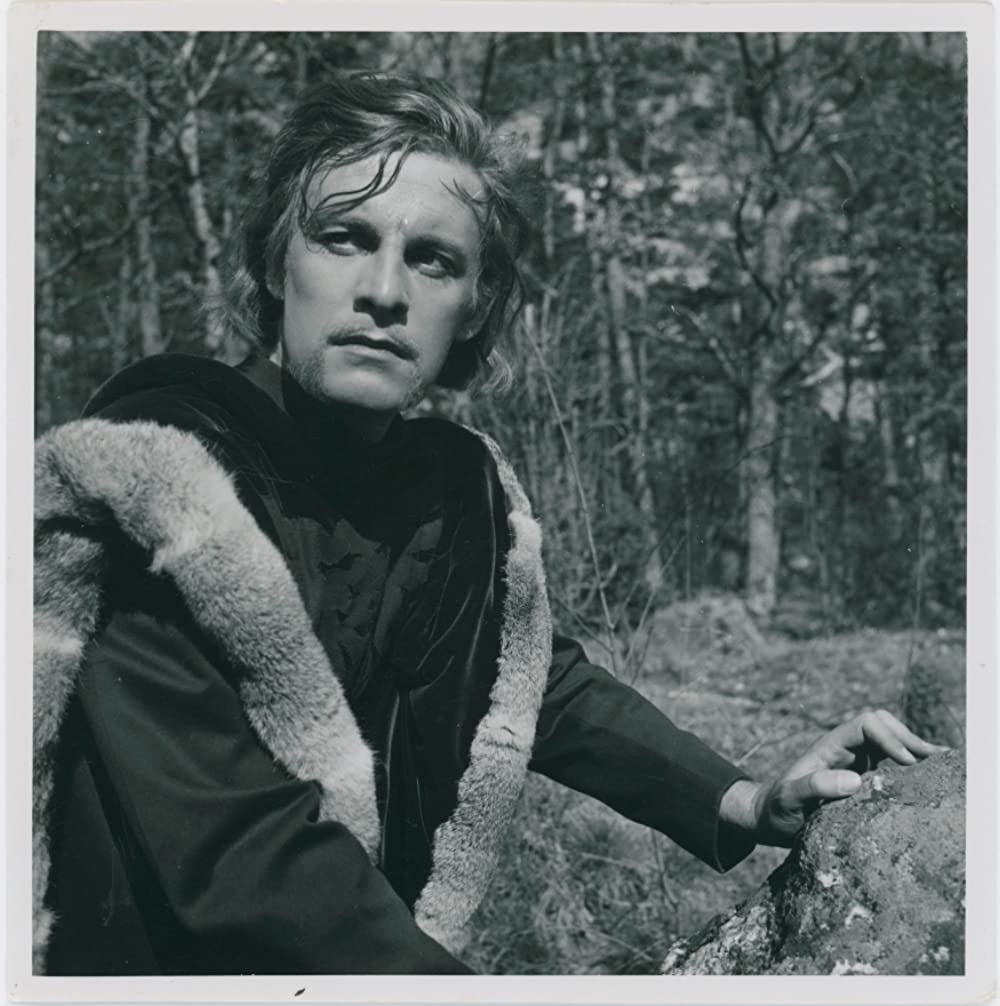 シンゴアラの画像