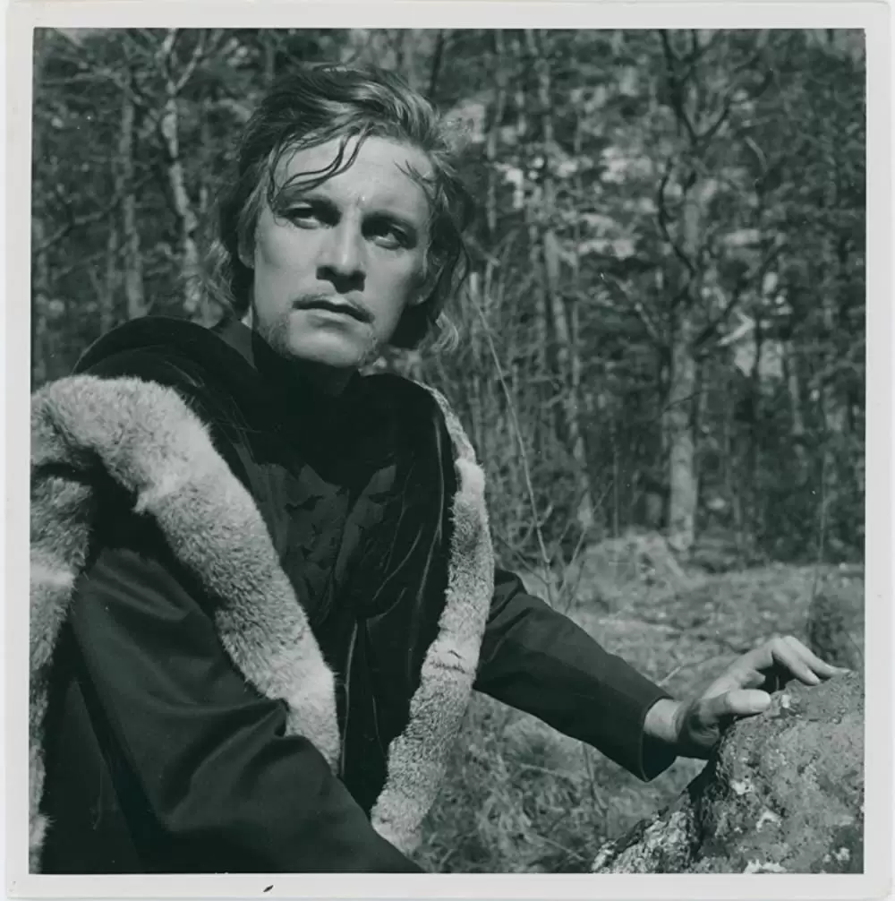 シンゴアラの画像