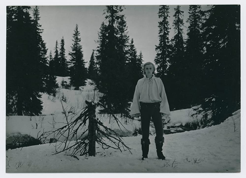 シンゴアラの画像