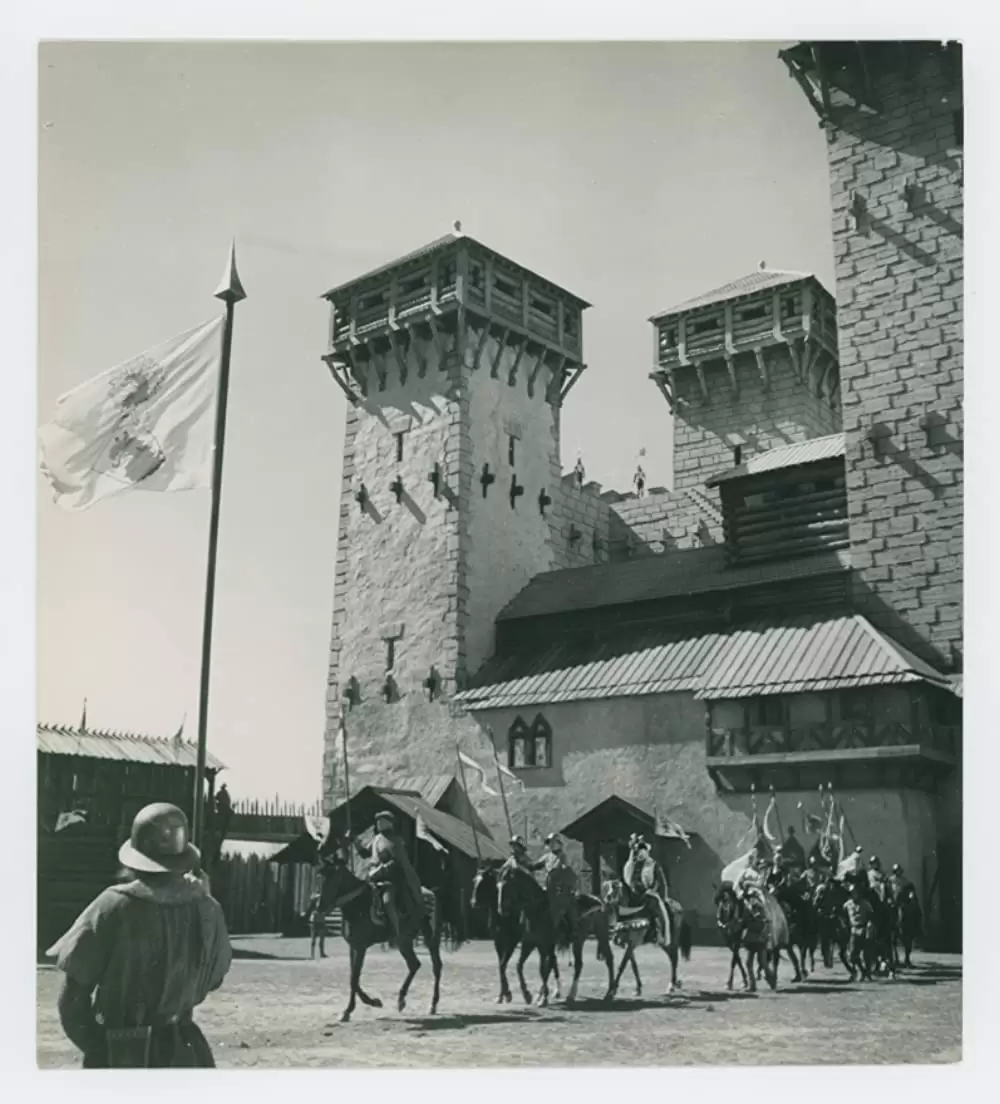 シンゴアラの画像