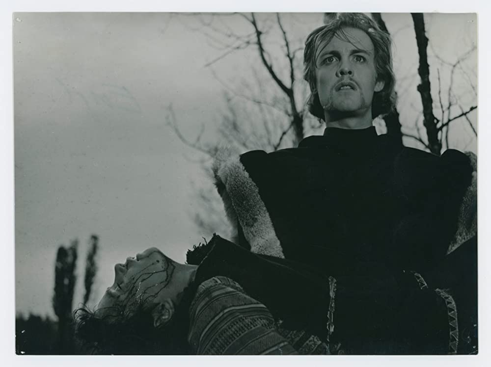 シンゴアラの画像