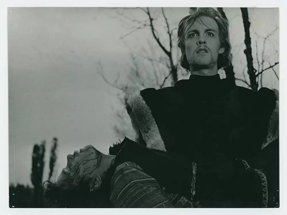 シンゴアラの画像