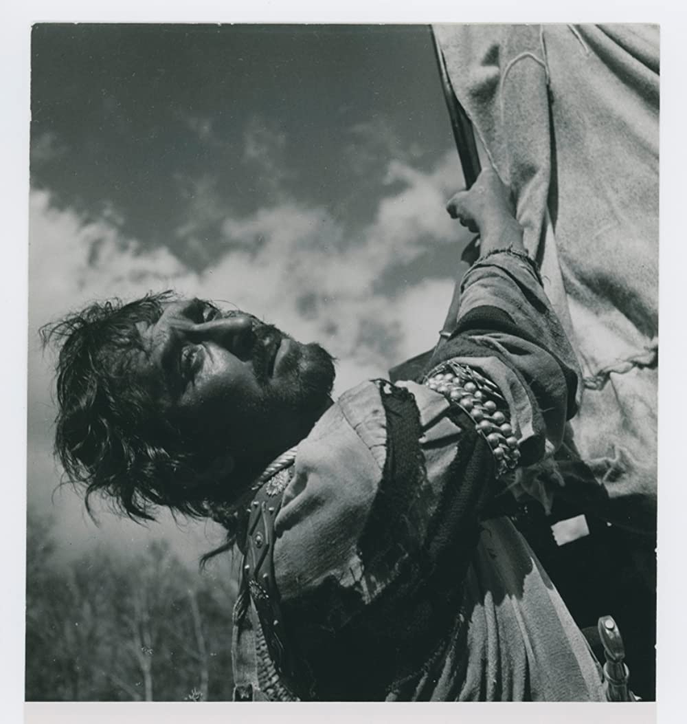 シンゴアラの画像