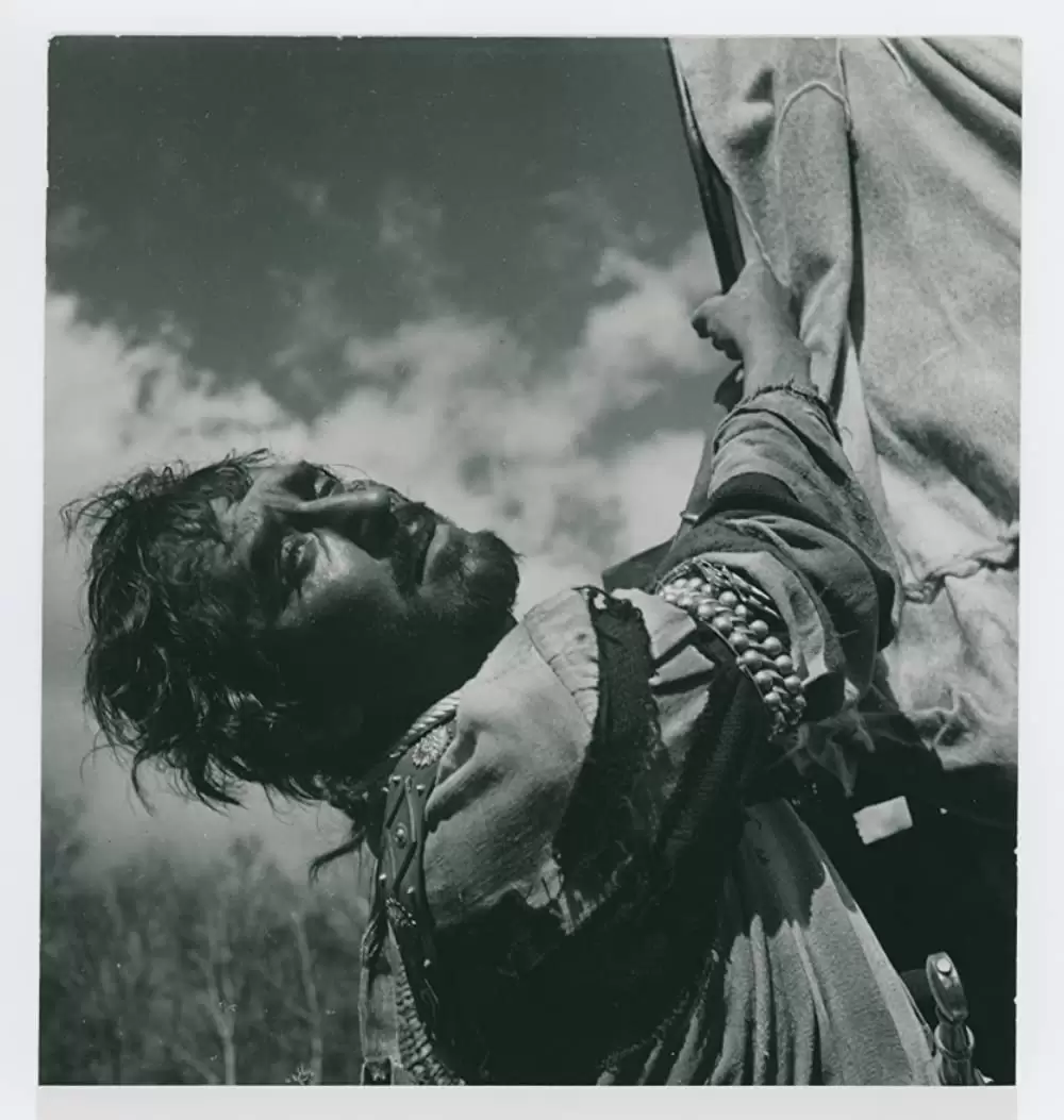 シンゴアラの画像