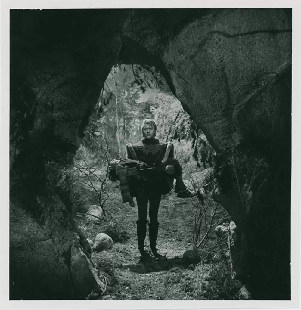 シンゴアラの画像