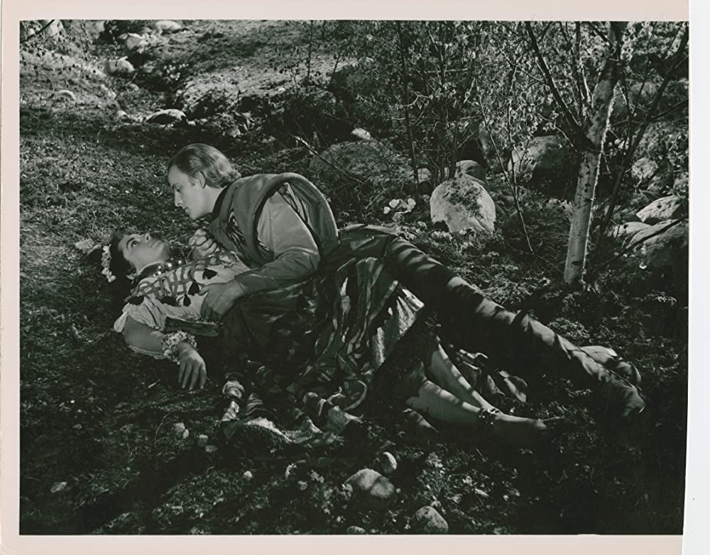 シンゴアラの画像