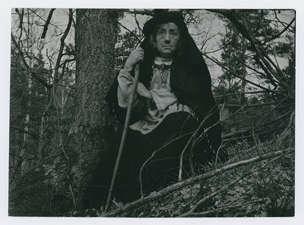 シンゴアラの画像