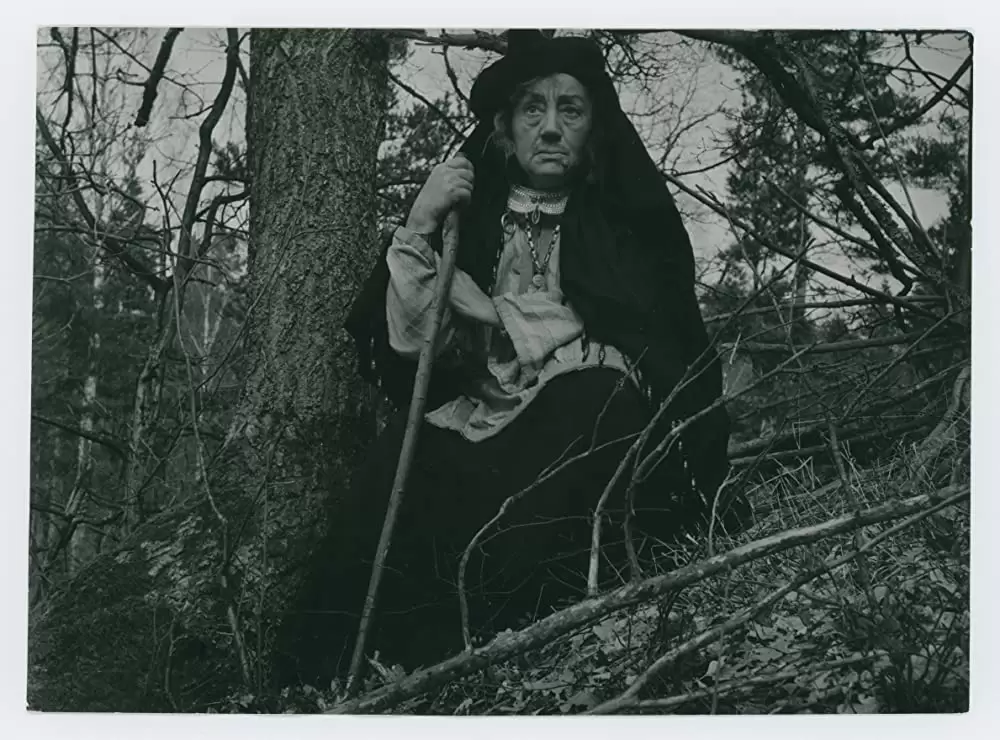 シンゴアラの画像