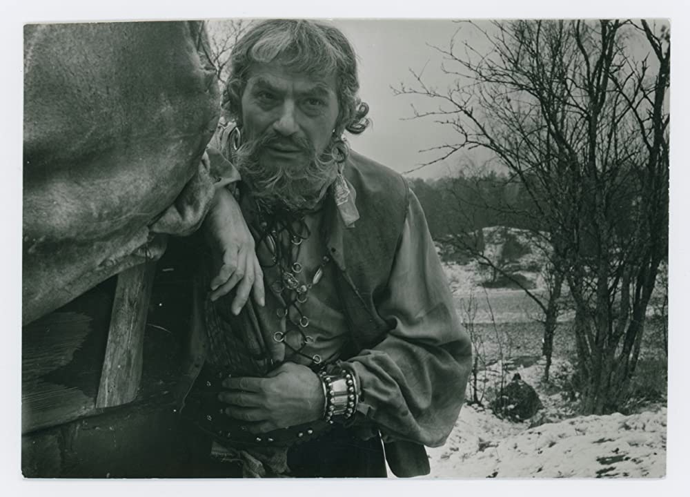 シンゴアラの画像