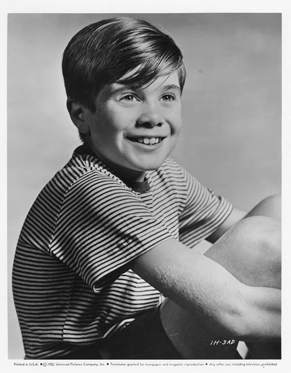 禿鷹は飛ばずの画像