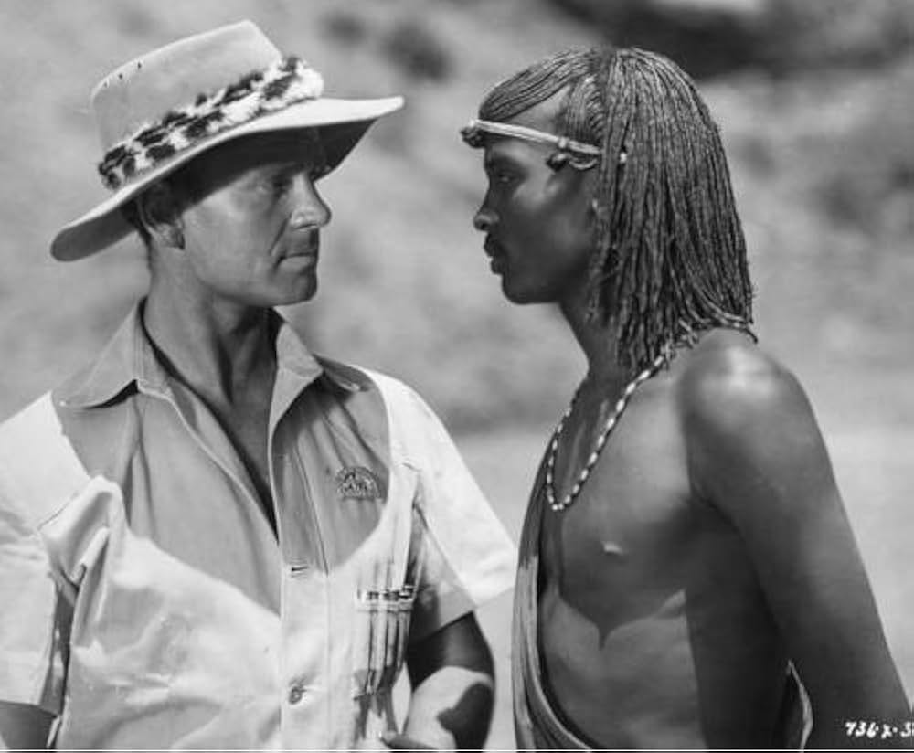 禿鷹は飛ばずの画像