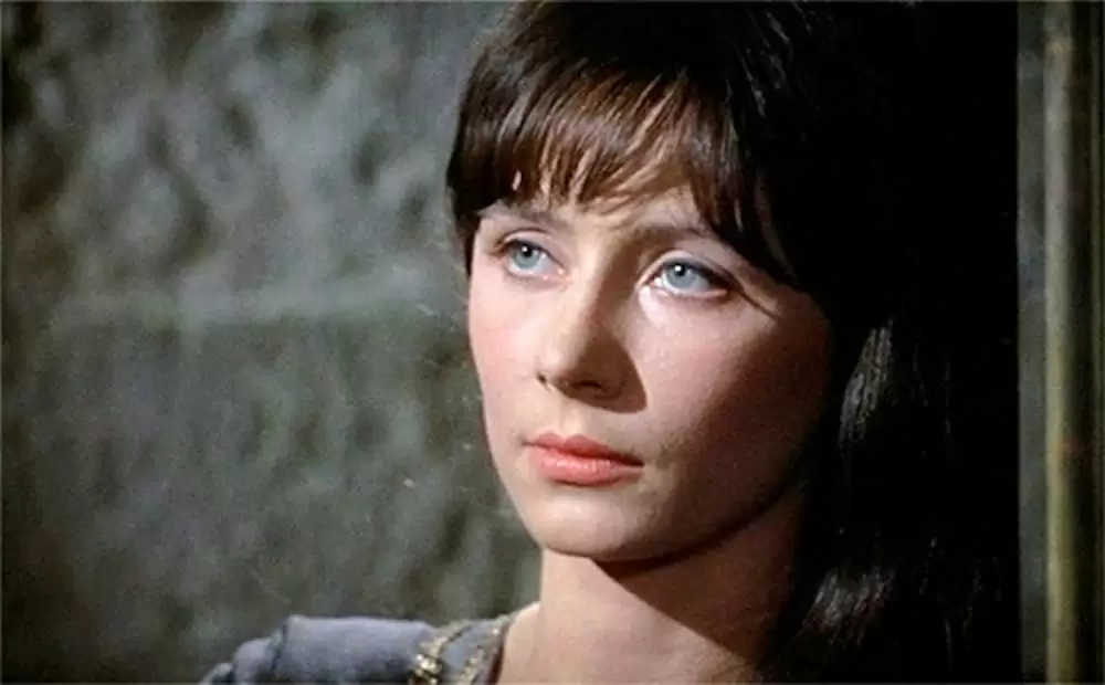 ロビン・フッドの逆襲の画像