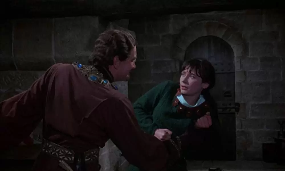 ロビン・フッドの逆襲の画像