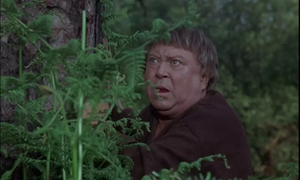 「ロビン・フッドの逆襲」ジェームズ・ヘイターの画像