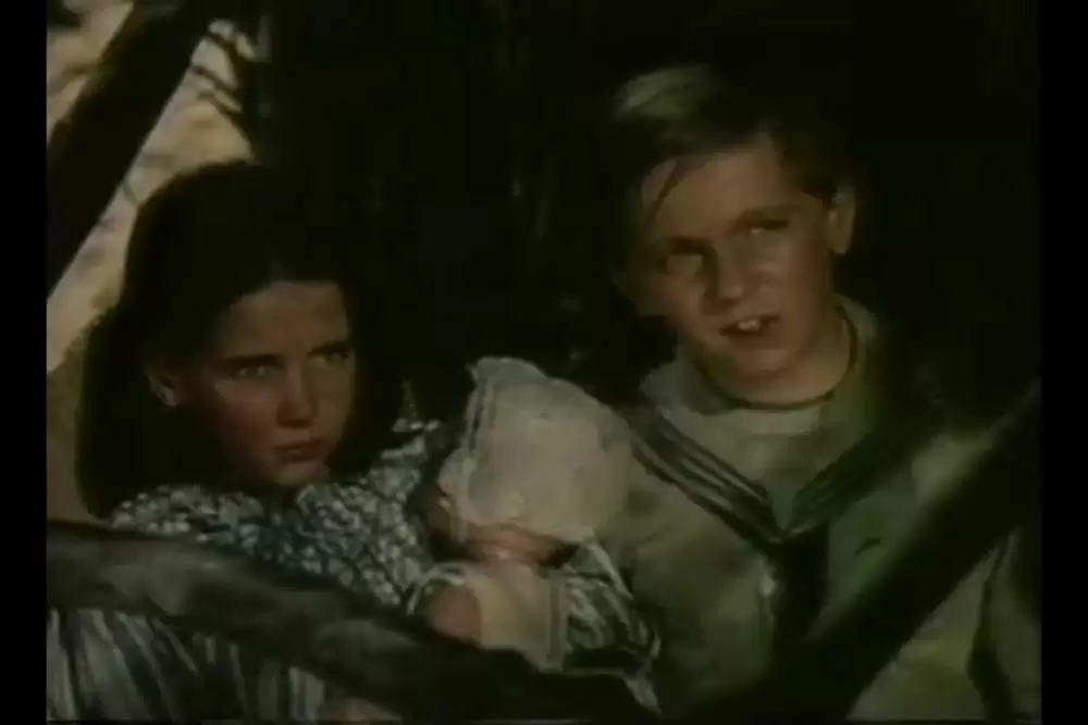 青い珊瑚礁の画像