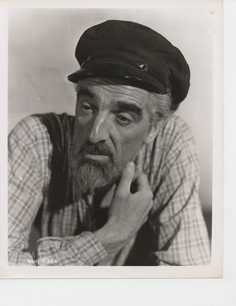 青い珊瑚礁の画像