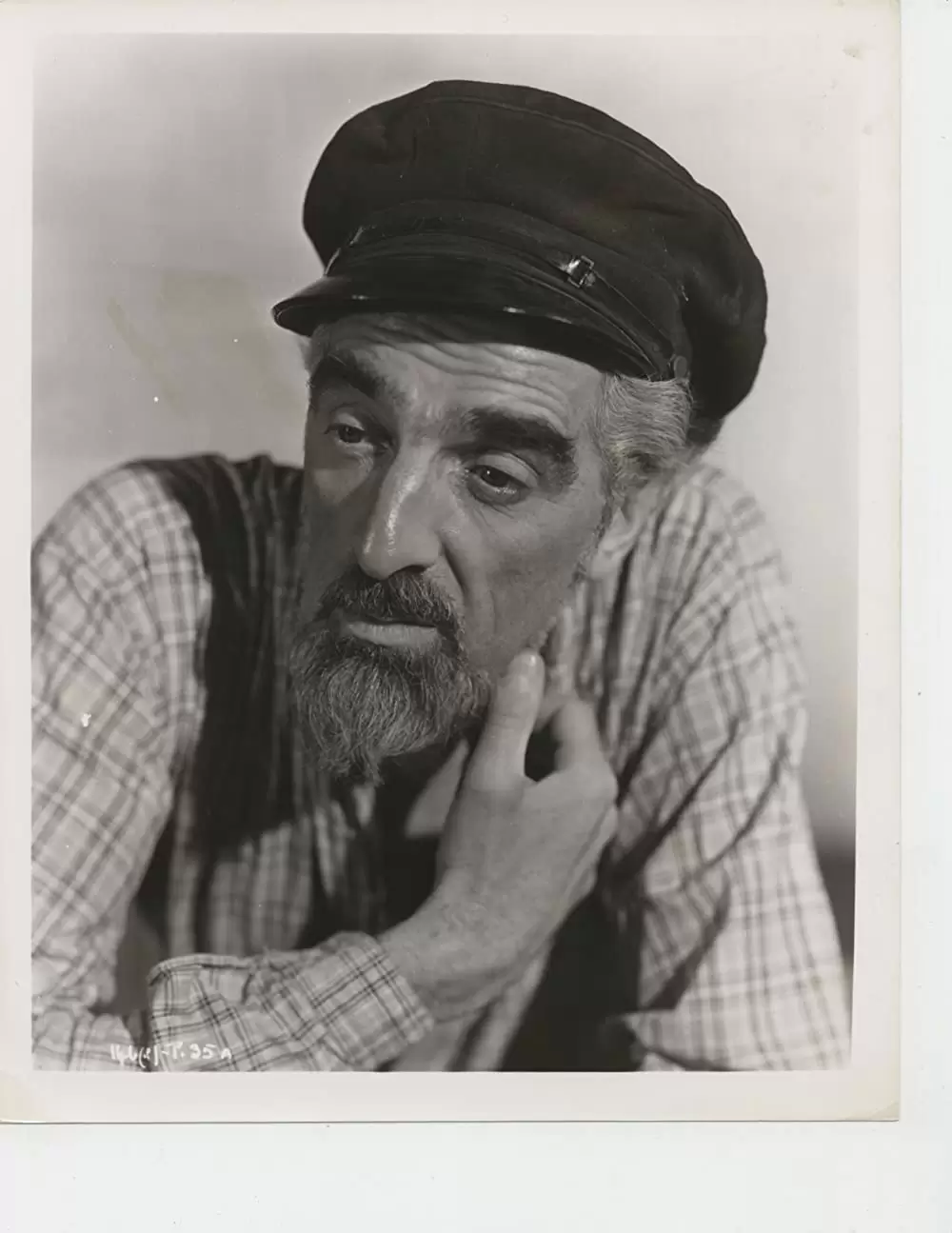 青い珊瑚礁の画像