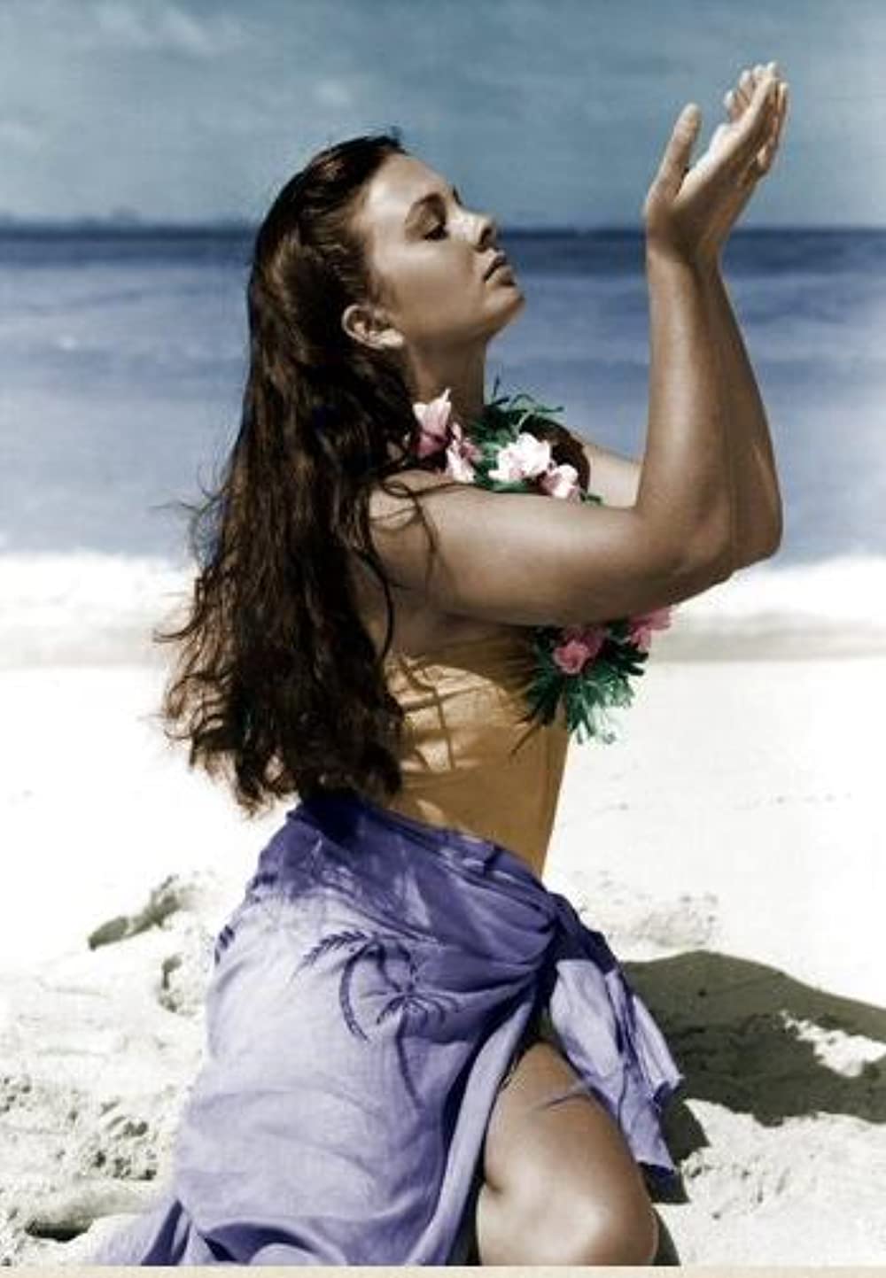 青い珊瑚礁の画像