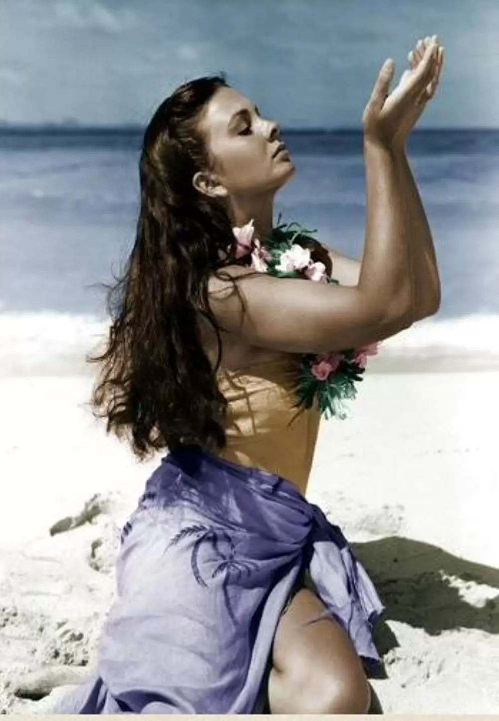 青い珊瑚礁の画像