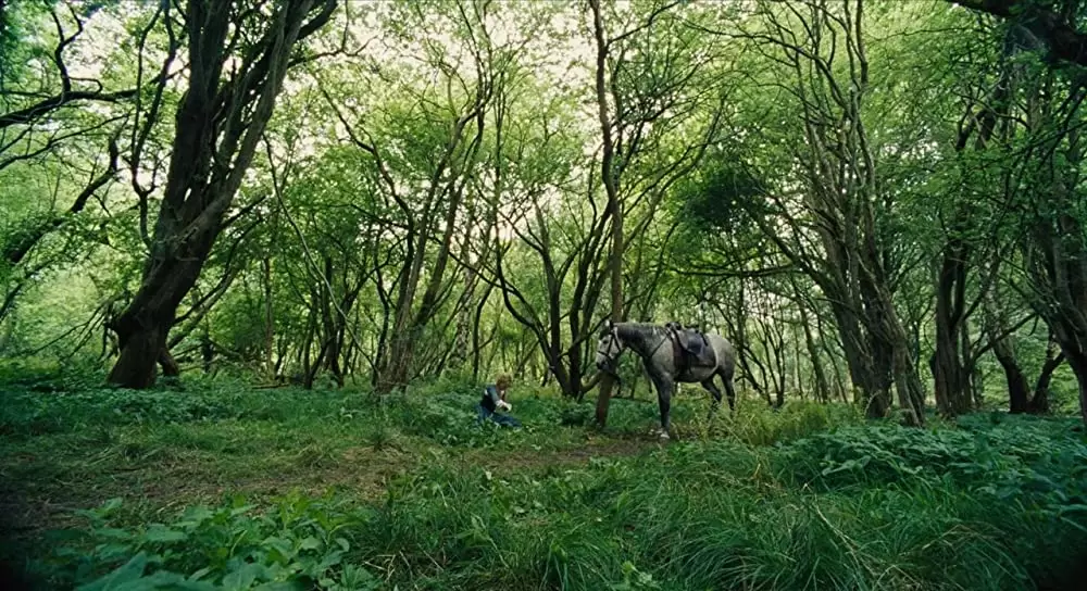 女王陛下のお気に入りの画像