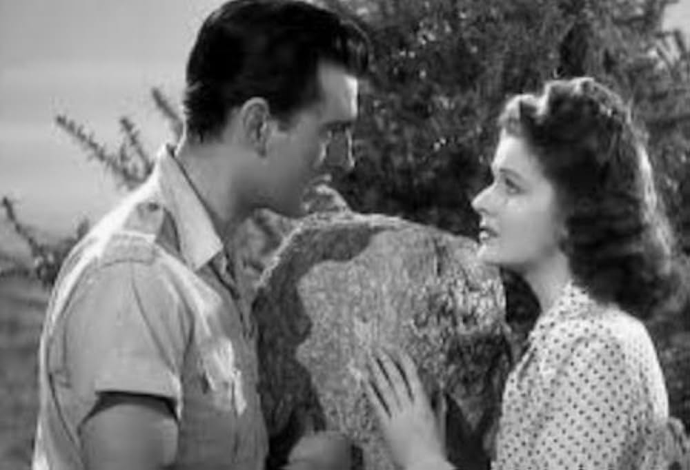 愛の物語の画像