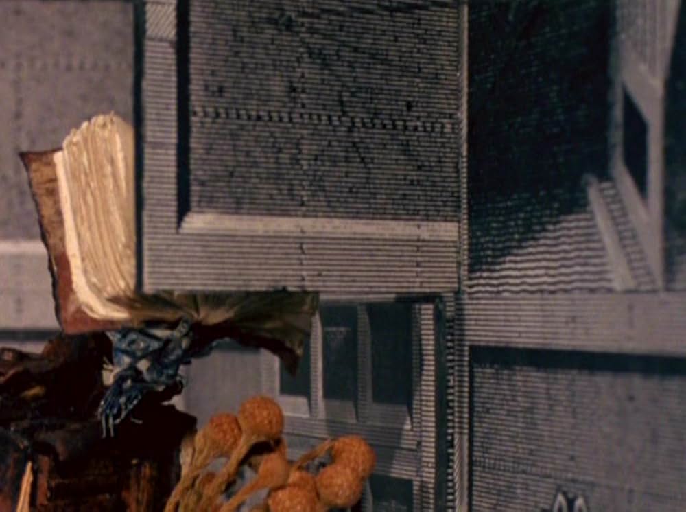 ヤン・シュヴァンクマイエルの部屋の画像