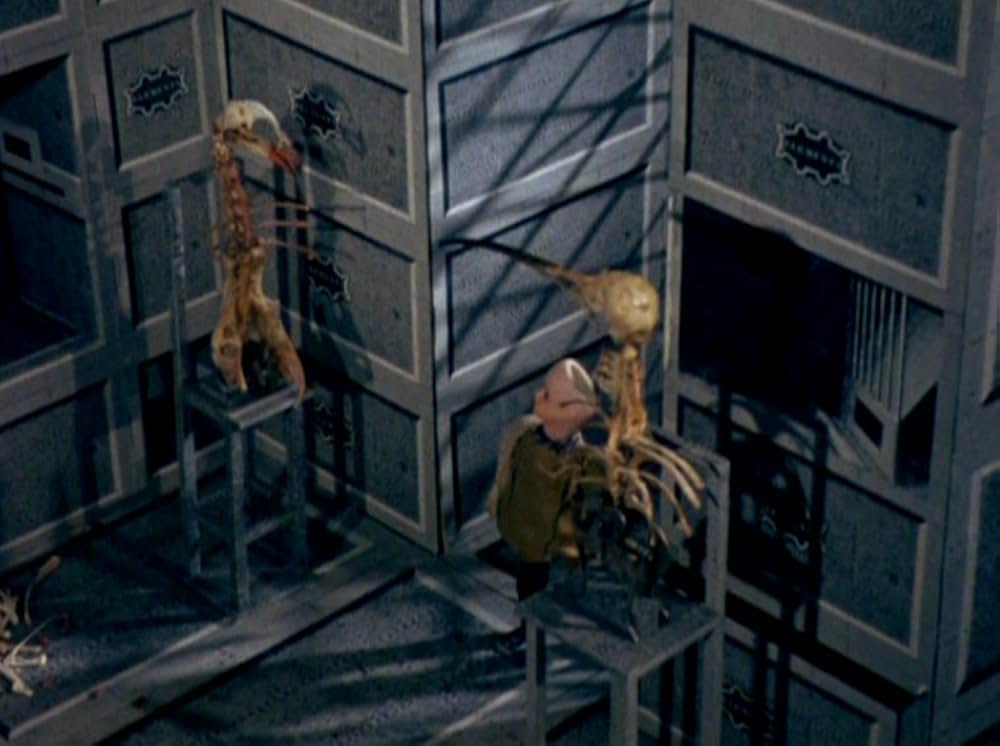 ヤン・シュヴァンクマイエルの部屋の画像