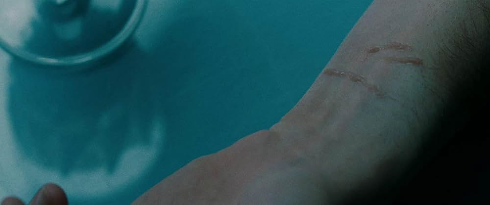 トゥー・ラバーズの画像