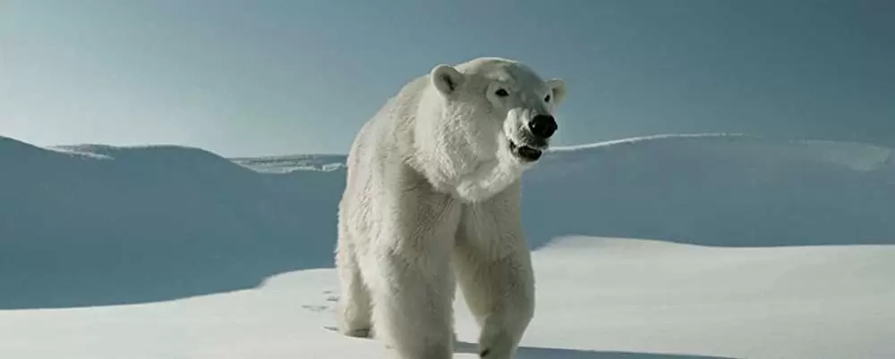 ホワイト・ラバーズの画像