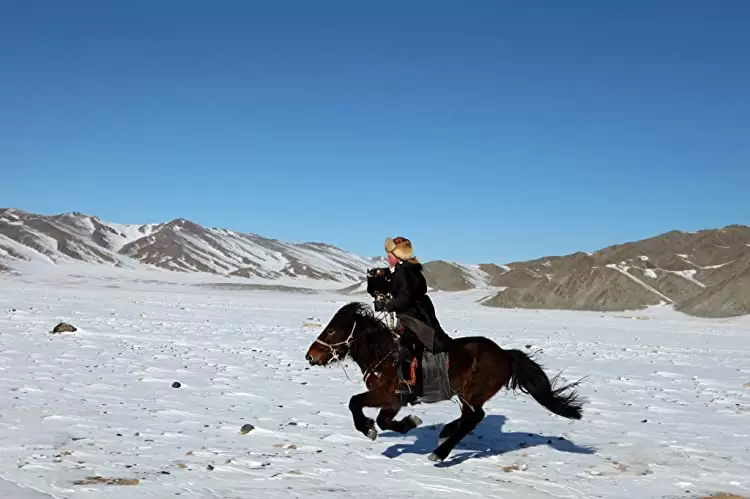 イーグルハンター 1000年の歴史を変えた｢鷹匠｣少女の画像