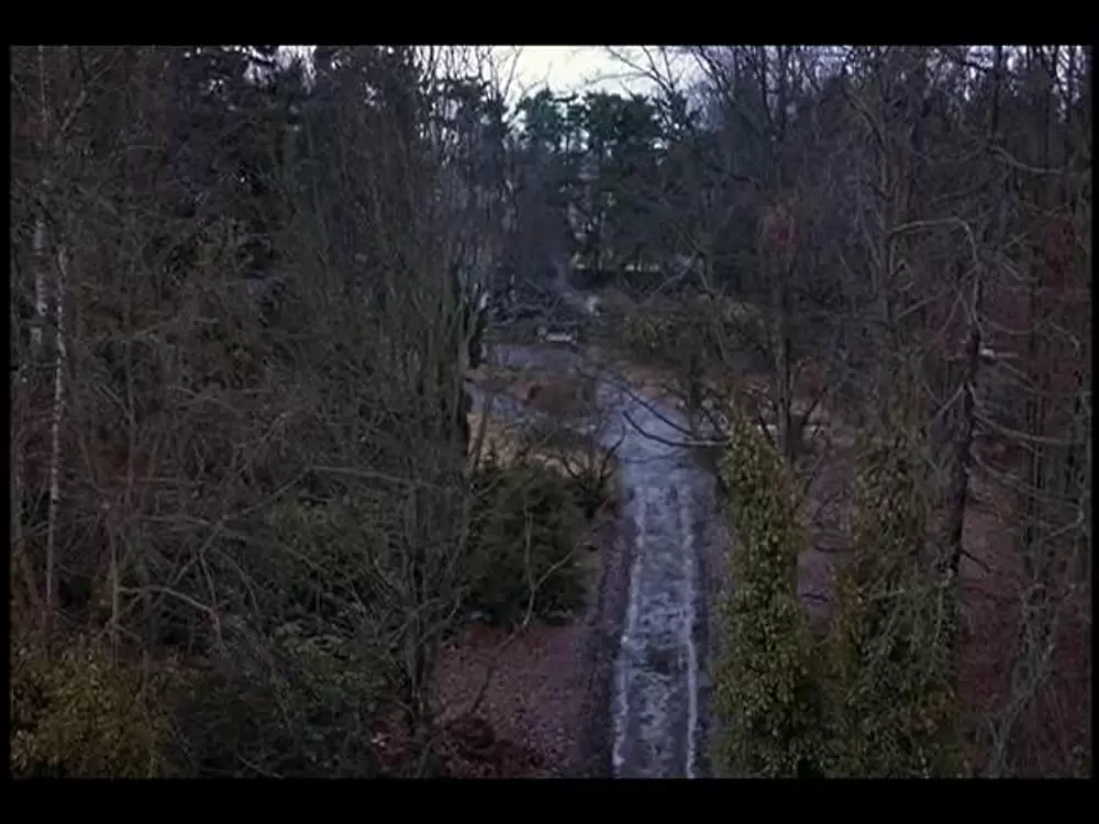 チェンジリングの画像