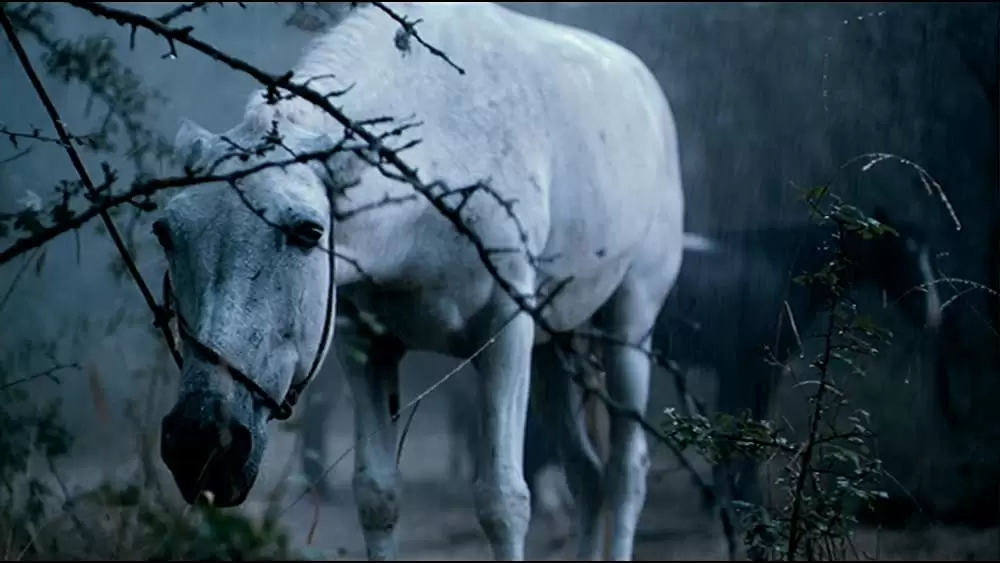 チェ 39歳 別れの手紙の画像