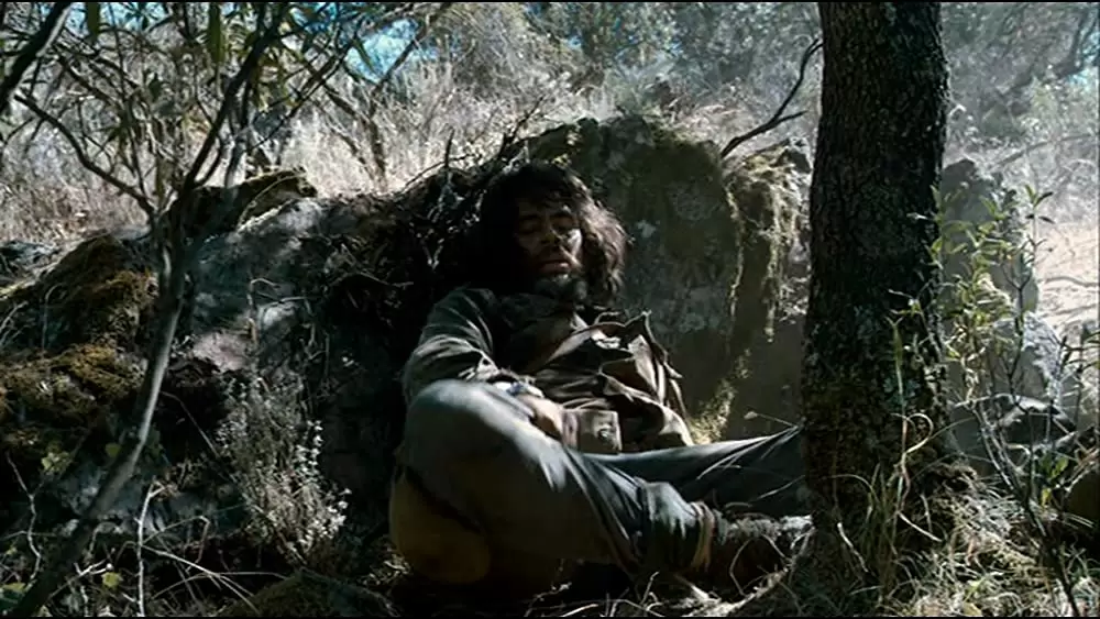 「チェ 39歳 別れの手紙」ベニチオ・デル・トロの画像