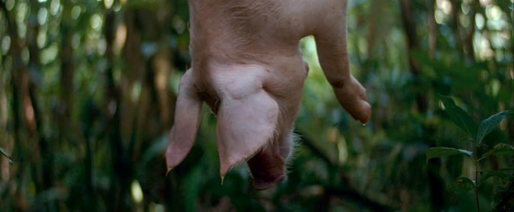 チェ 28歳の革命の画像