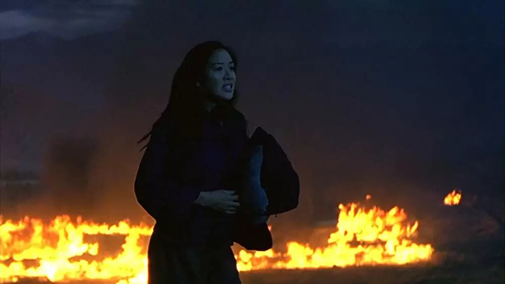 性の曼荼羅の画像