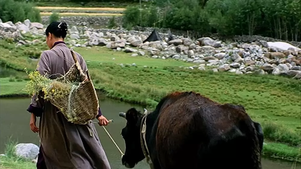 性の曼荼羅の画像