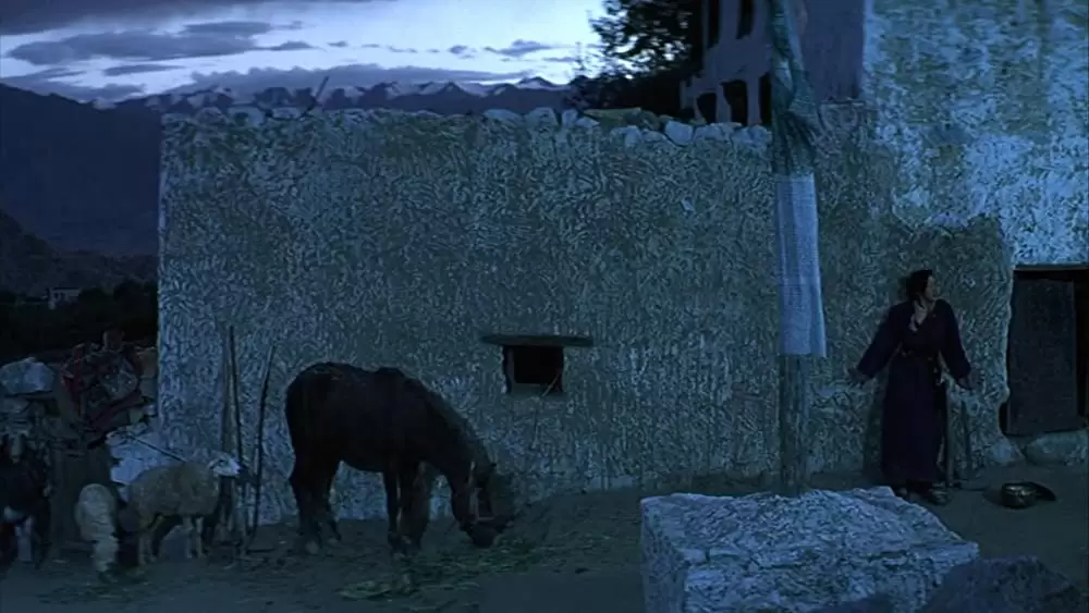 性の曼荼羅の画像