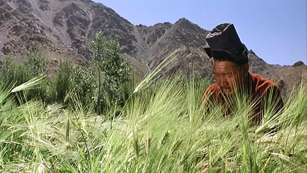 性の曼荼羅の画像