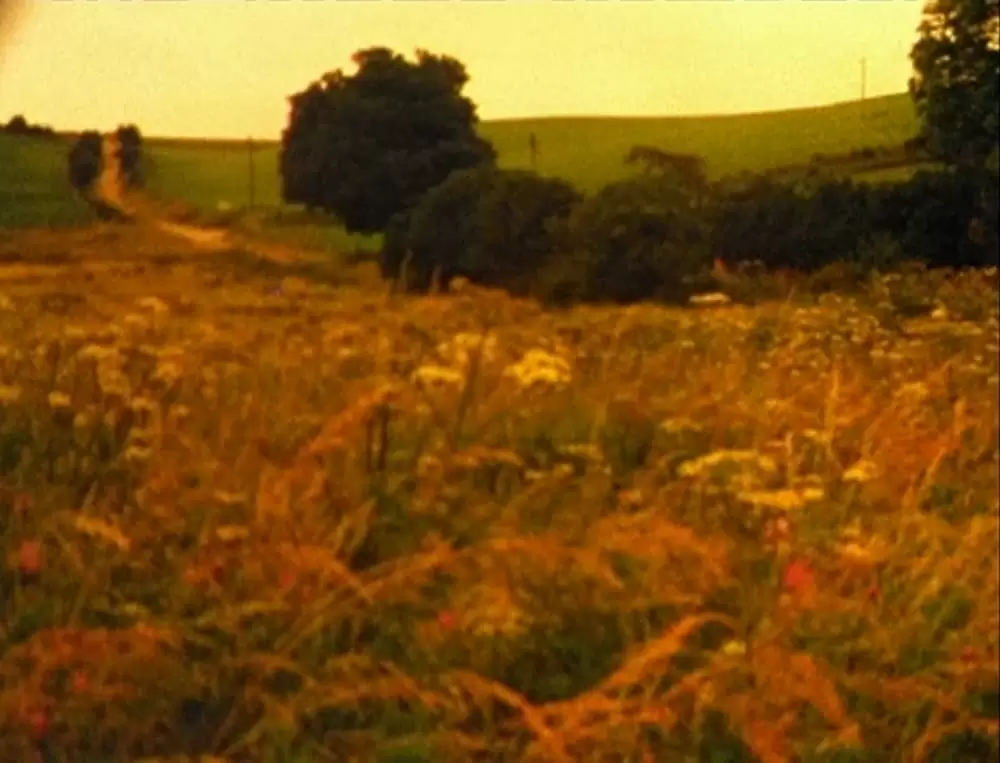 グリッターバグ／デレク・ジャーマン1970-1986の画像