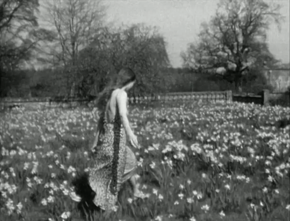 グリッターバグ／デレク・ジャーマン1970-1986の画像