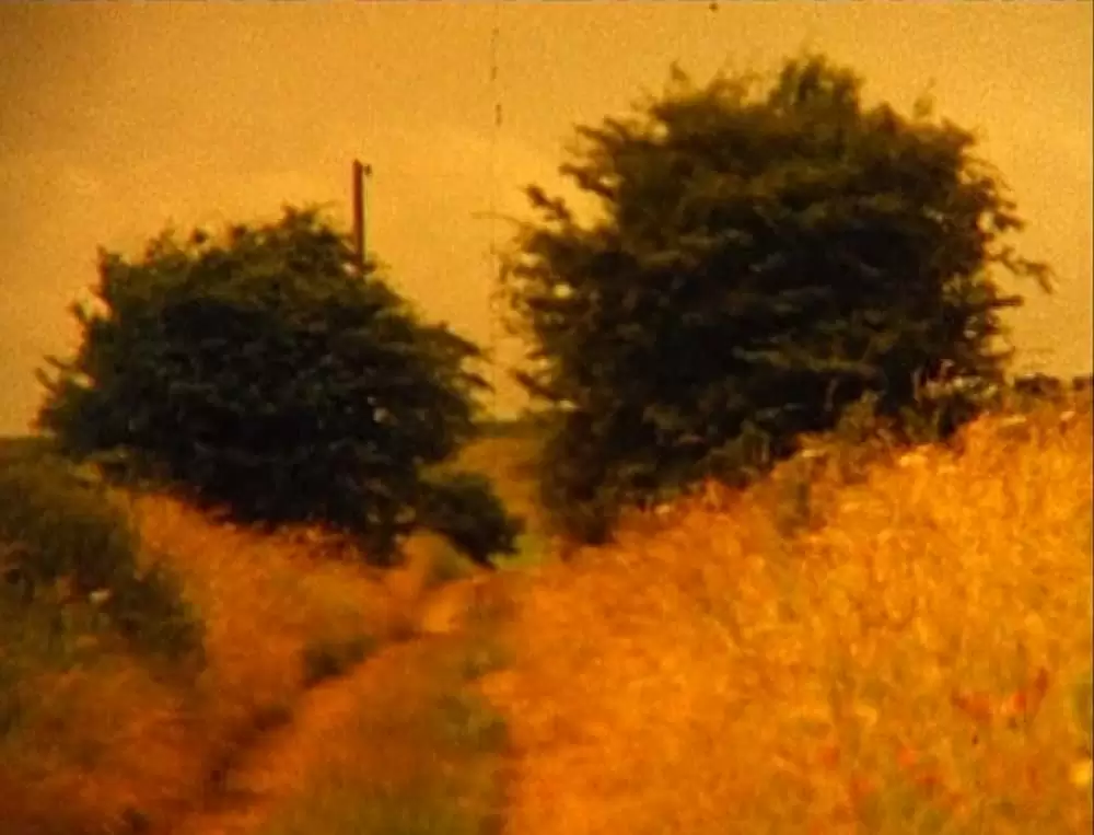 グリッターバグ／デレク・ジャーマン1970-1986の画像