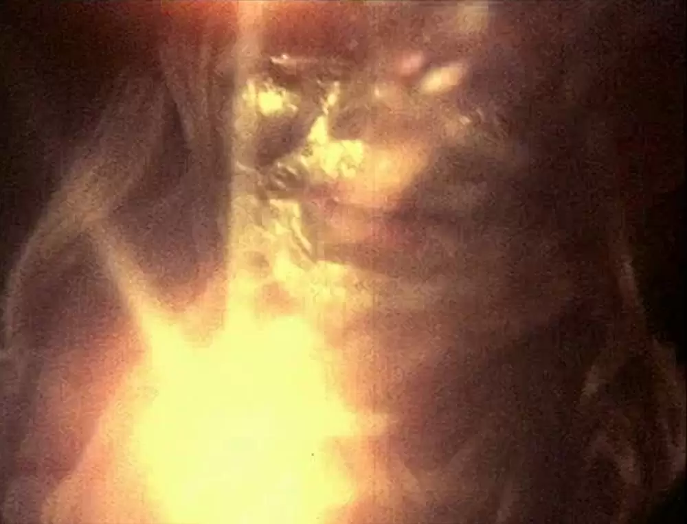 グリッターバグ／デレク・ジャーマン1970-1986の画像